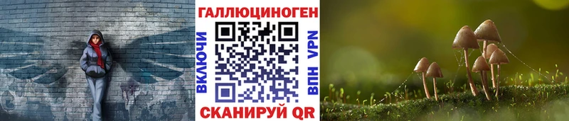 Галлюциногенные грибы Psilocybe  Среднеколымск 
